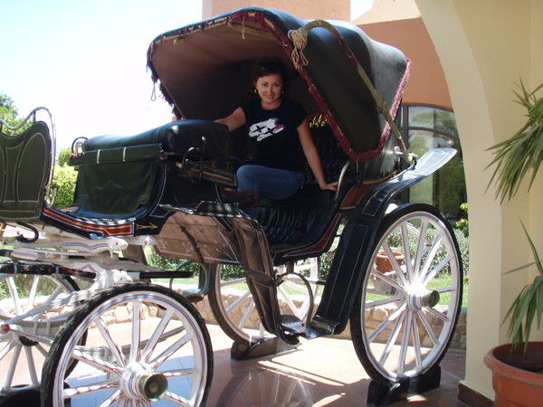 Наталья Пудовкина Чесновская