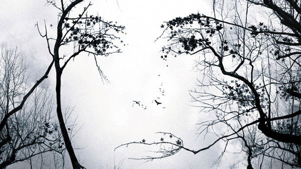 Оксана Сердцева