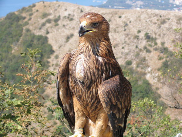 Виталий Усачёв