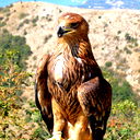 Виталий Усачёв