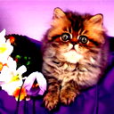 Елена Павлюк