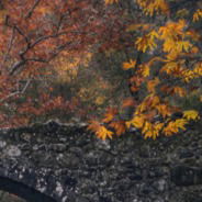 Алексей Нилов