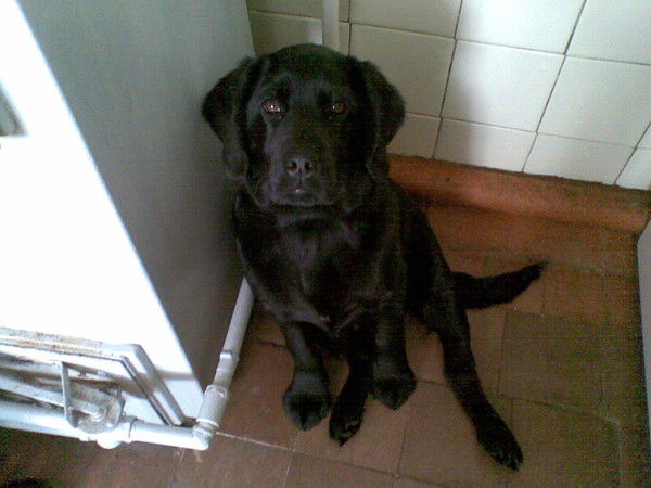 Алексей Данилоха