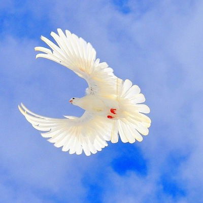 Даниль Низямов