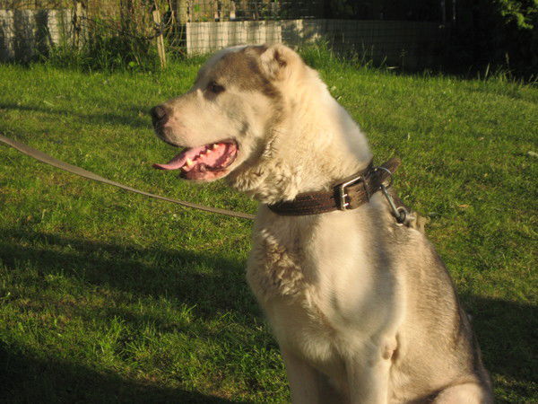 Юлия Васькова