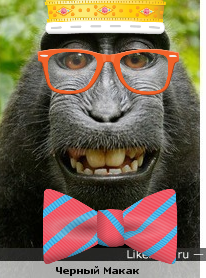 Тевгений Тплетнев