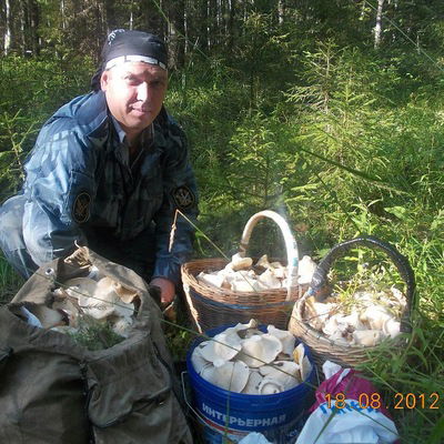 Алексей Шишко