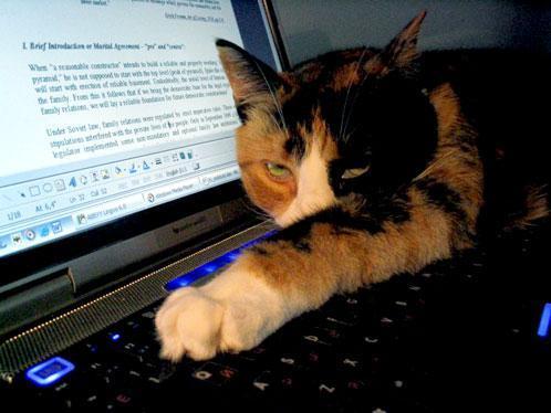 Татьяна Колосова