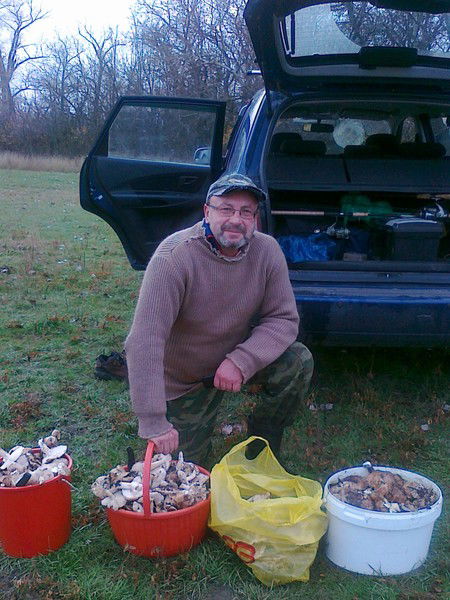 Неизвестно Неизвестно