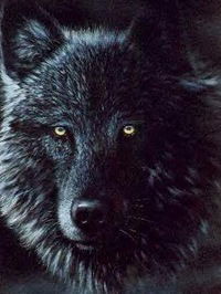 Даниил Денисюк