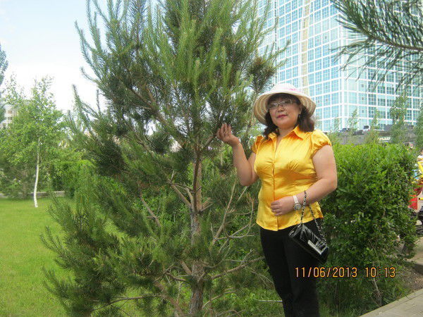 Алмагул Нурпейсова