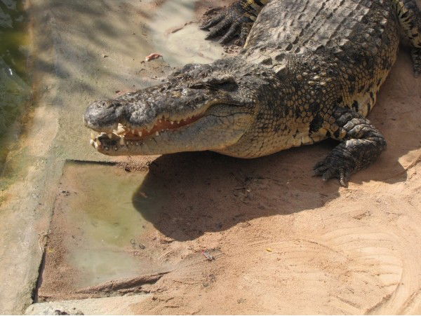 Рустам Зиатдинов