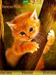 Юлия Ермашенко