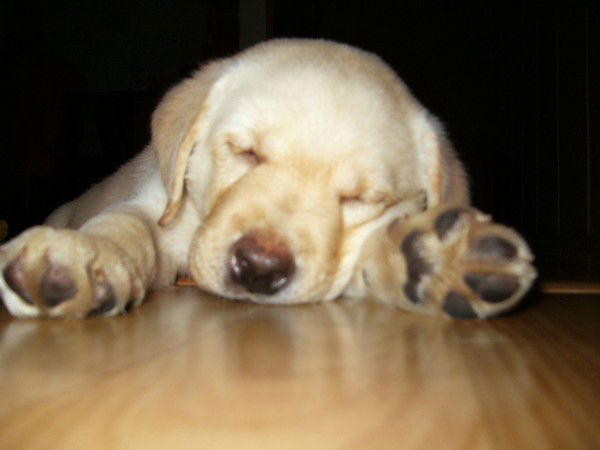 Лилия Фарзалина