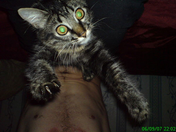 Алексей Селиванов