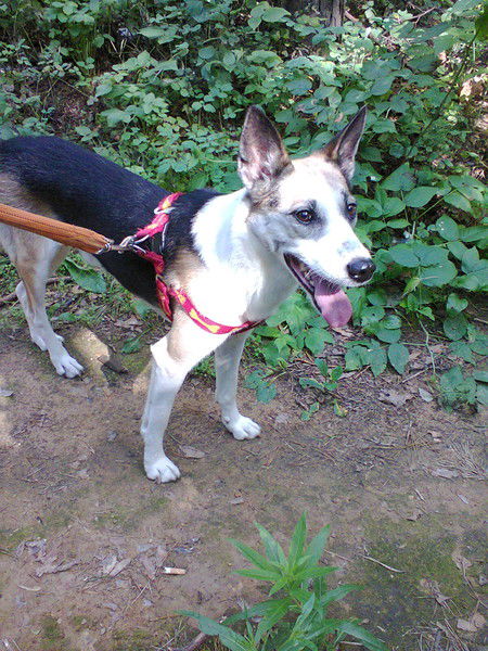 Наташка Зимина