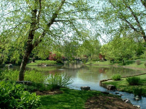 Марина Бокова