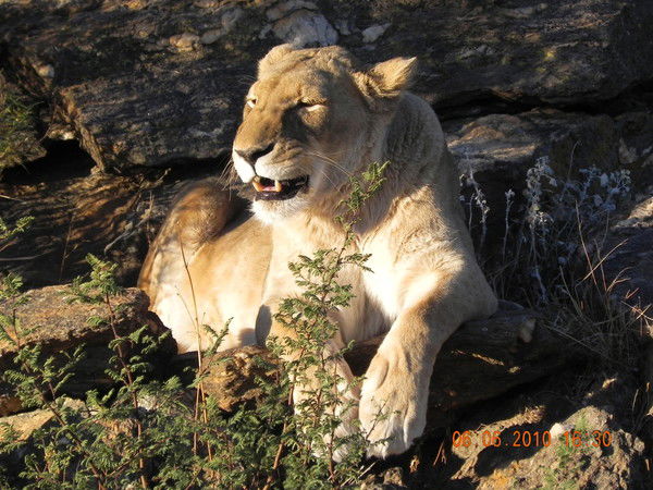 Гагик Гукасян