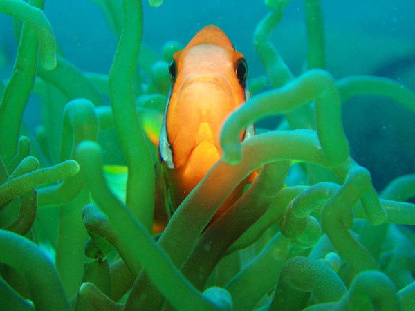 Людмила Руднева