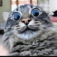 Влад Евсеенко