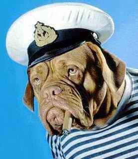 Алексей Лагунов