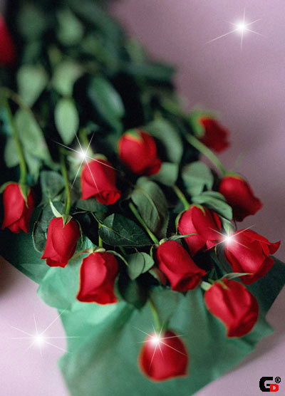 Айгерим Бердибаева