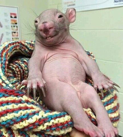 Александра Ларичева