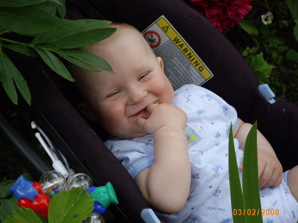 Елена Шакун