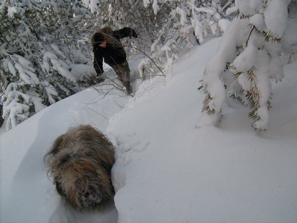 Андрей Браун
