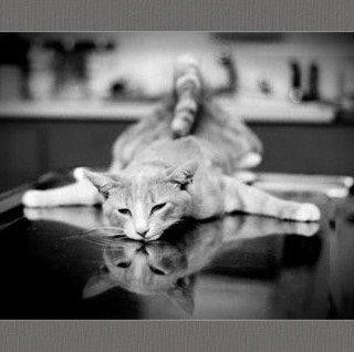 Сергей Леванчуков