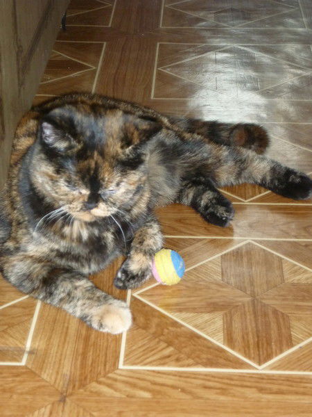 Вера Гульгина