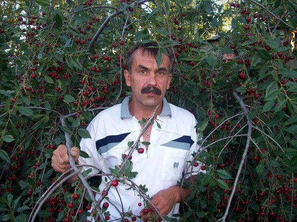 Сошнин Олег