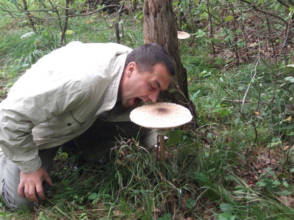 Сергей Саватеев