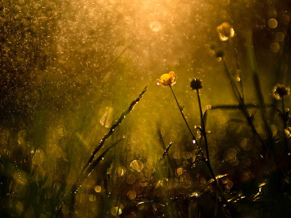 Sergyo Лукашов