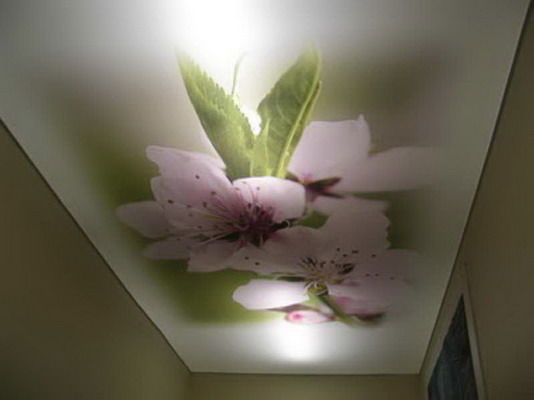 Марат Мухаметзянов