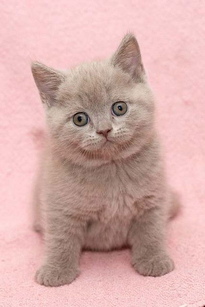 Маша Пискарёвуа