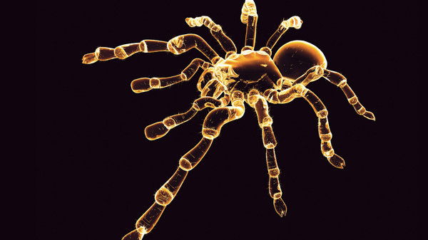 Валерий Кочетков