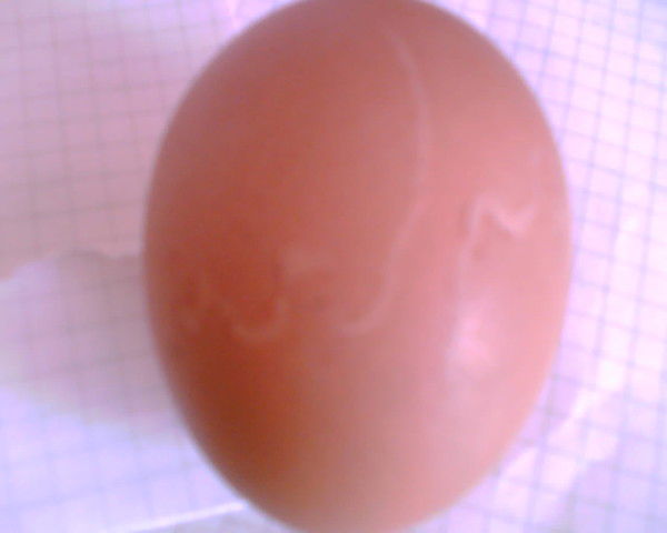 Мухаметгали Саликов