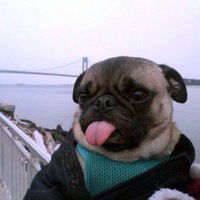 Эрика Петросян