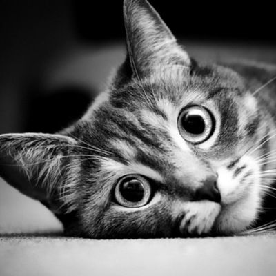 Ирина Игнатова