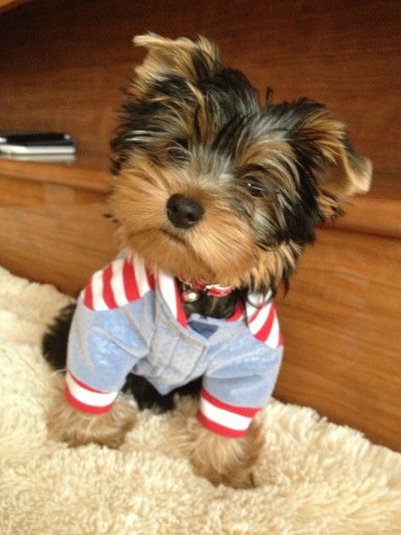 Анастасия Михальцова