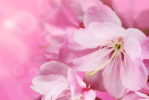 Евгения Васильева