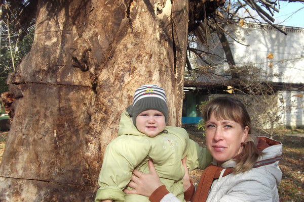 Елена Лебедева