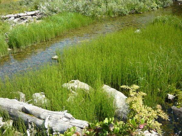 Ирина Неизвестно