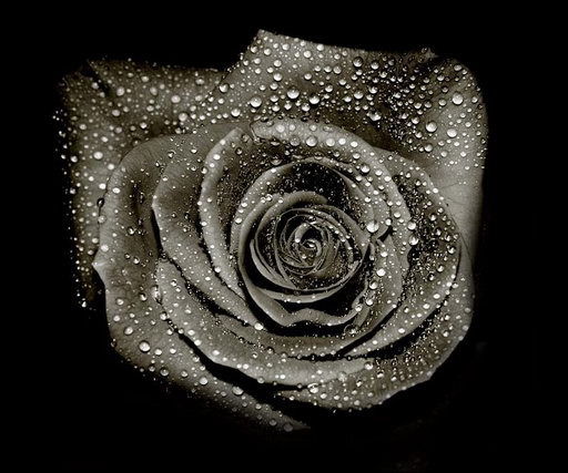 Мейрим Муратбеккызы