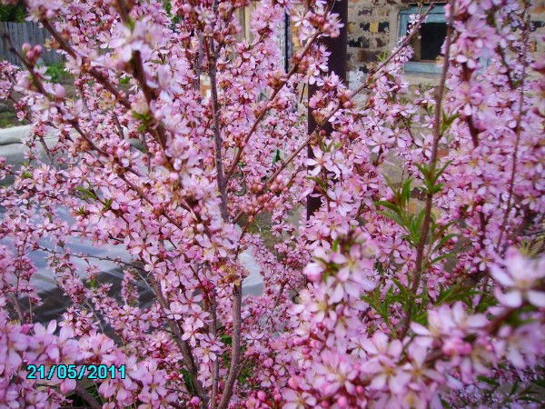 Татьяна Лузина