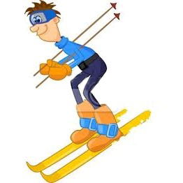 Максим Дубровин