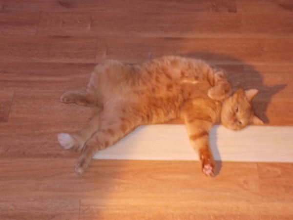 Рамиль Гимранов