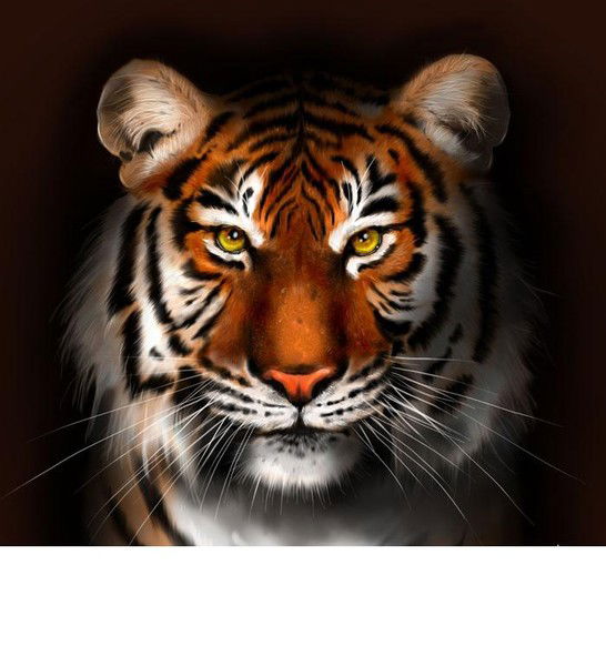 Альберт Урманчеев