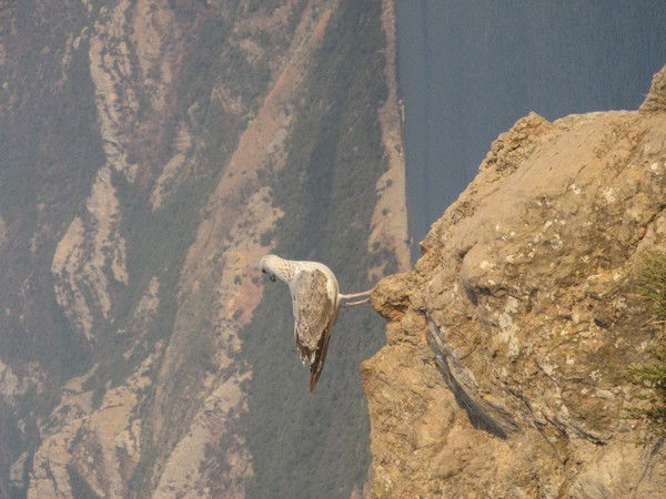 Катерина Терехина